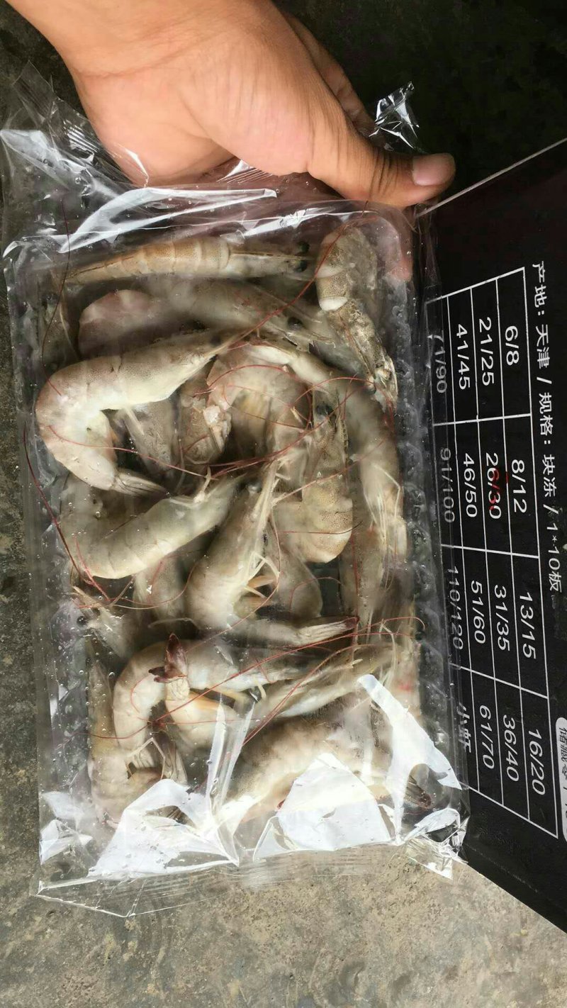 水产海必鲜南美白对虾