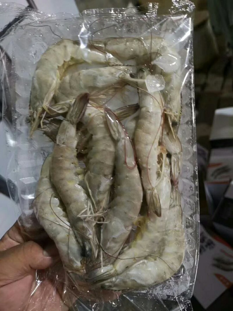 水产海必鲜南美白对虾