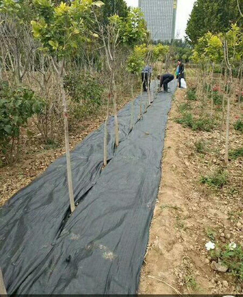 除草布