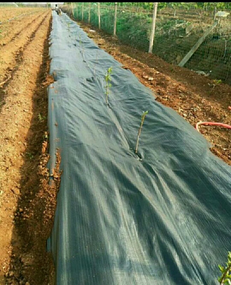 除草布