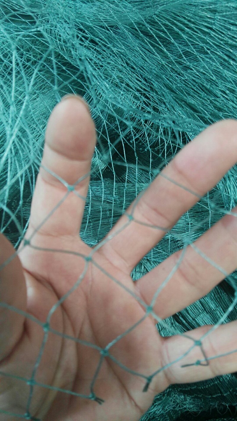 江苏宿迁沭养殖网厂家现货质量好欢迎咨询采购