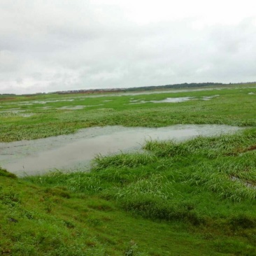 大量种植养殖、农业地产土地流转