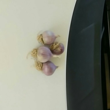 精品紫皮大蒜