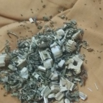 益母草