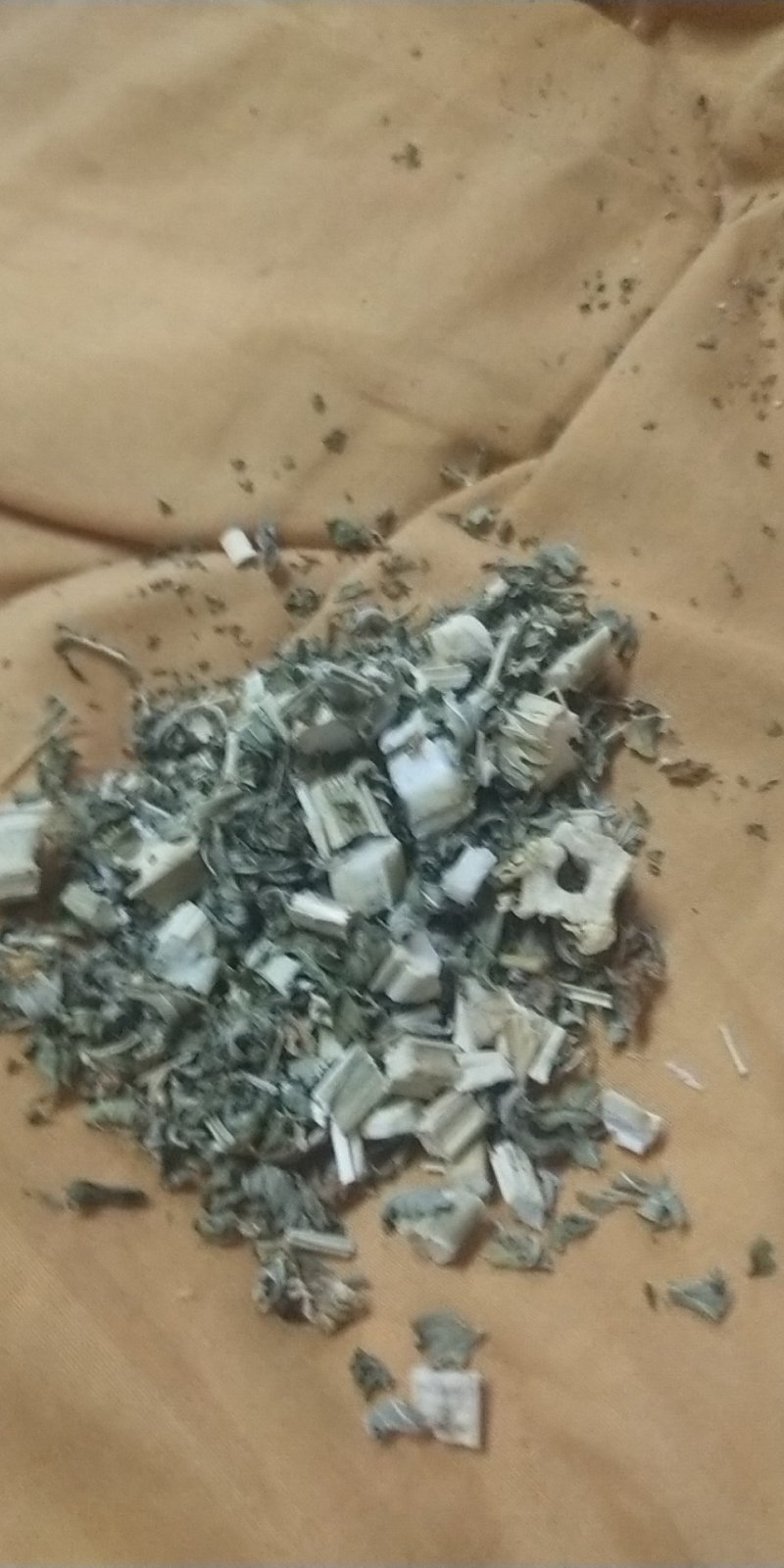 益母草