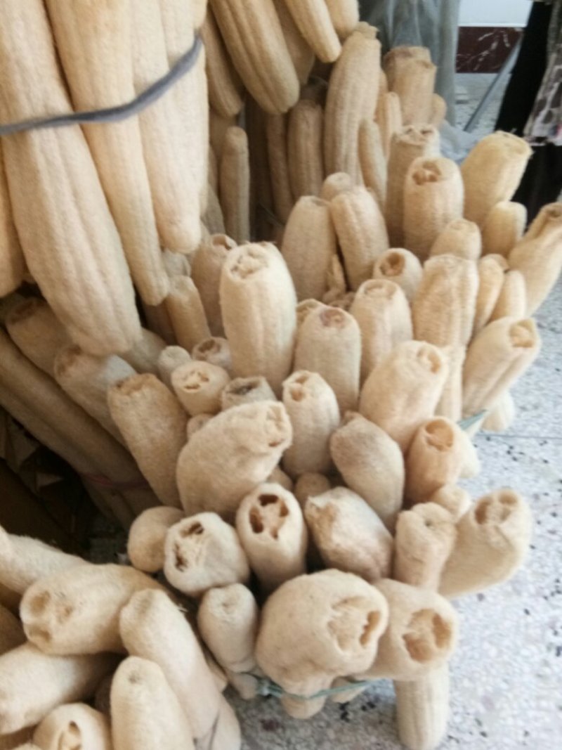 丝瓜络