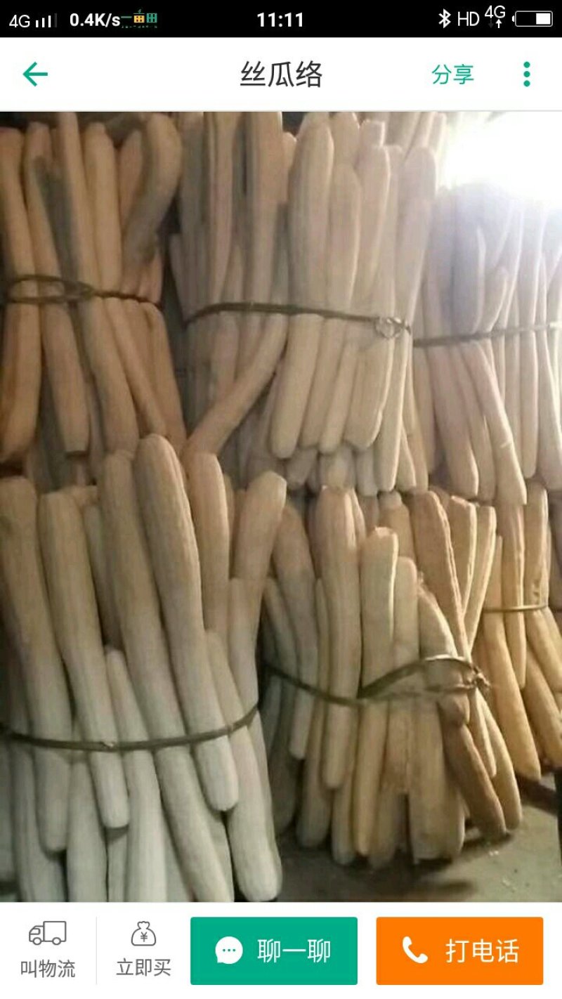 丝瓜络