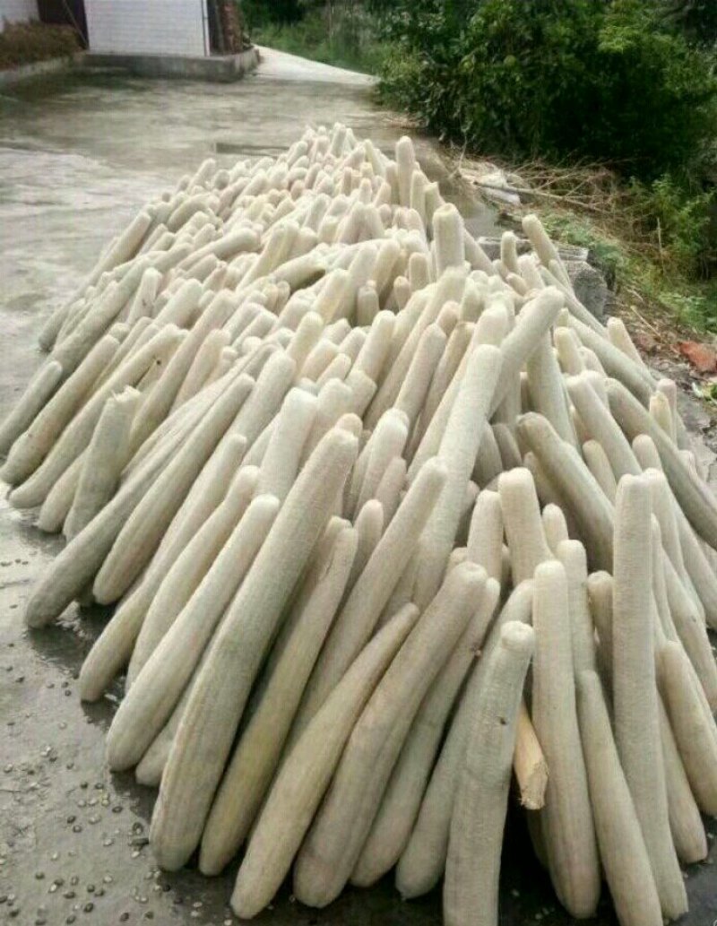 丝瓜络