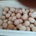 孔雀受精蛋，受精率高，可食用，高蛋白，富含硒元素
