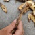 虎杖