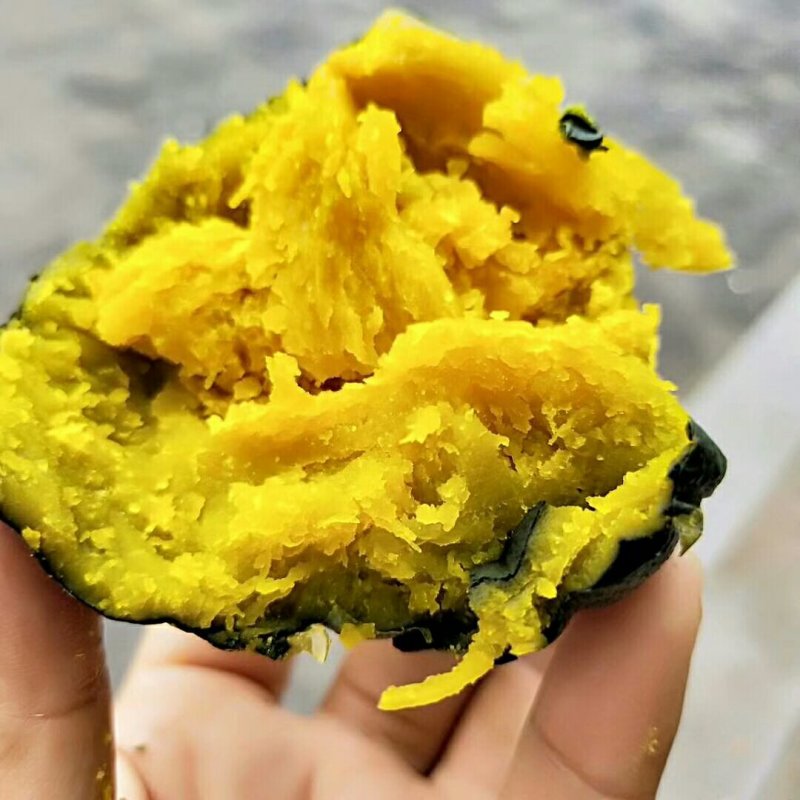 大棚吊瓜，贝贝南瓜老瓜，基地直发，又粉又面！
