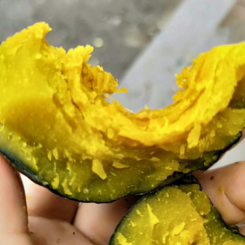 大棚吊瓜，贝贝南瓜老瓜，基地直发，又粉又面！