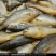 冰鲜黄鱼