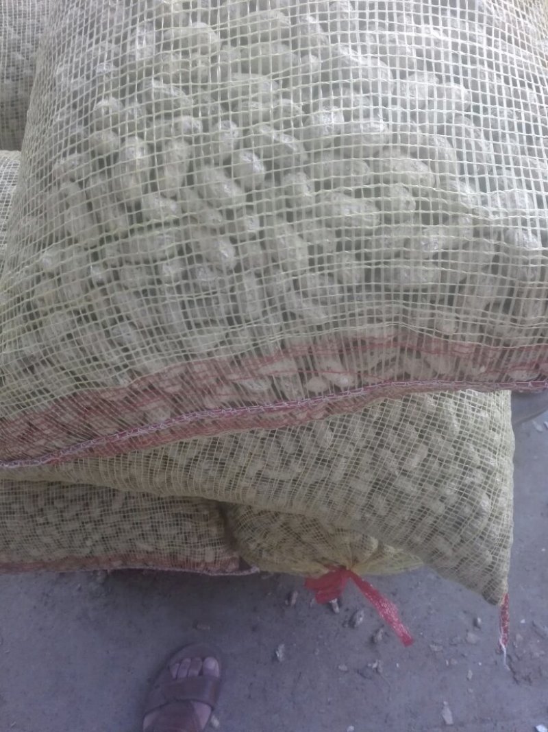 小白沙花生鲜果，口感好吃，品质好，含水份少，质量扛扛的