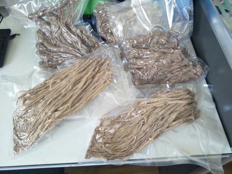 渭源新寨白条党参