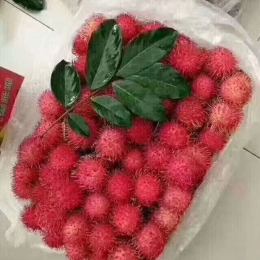 红毛丹，一件代发