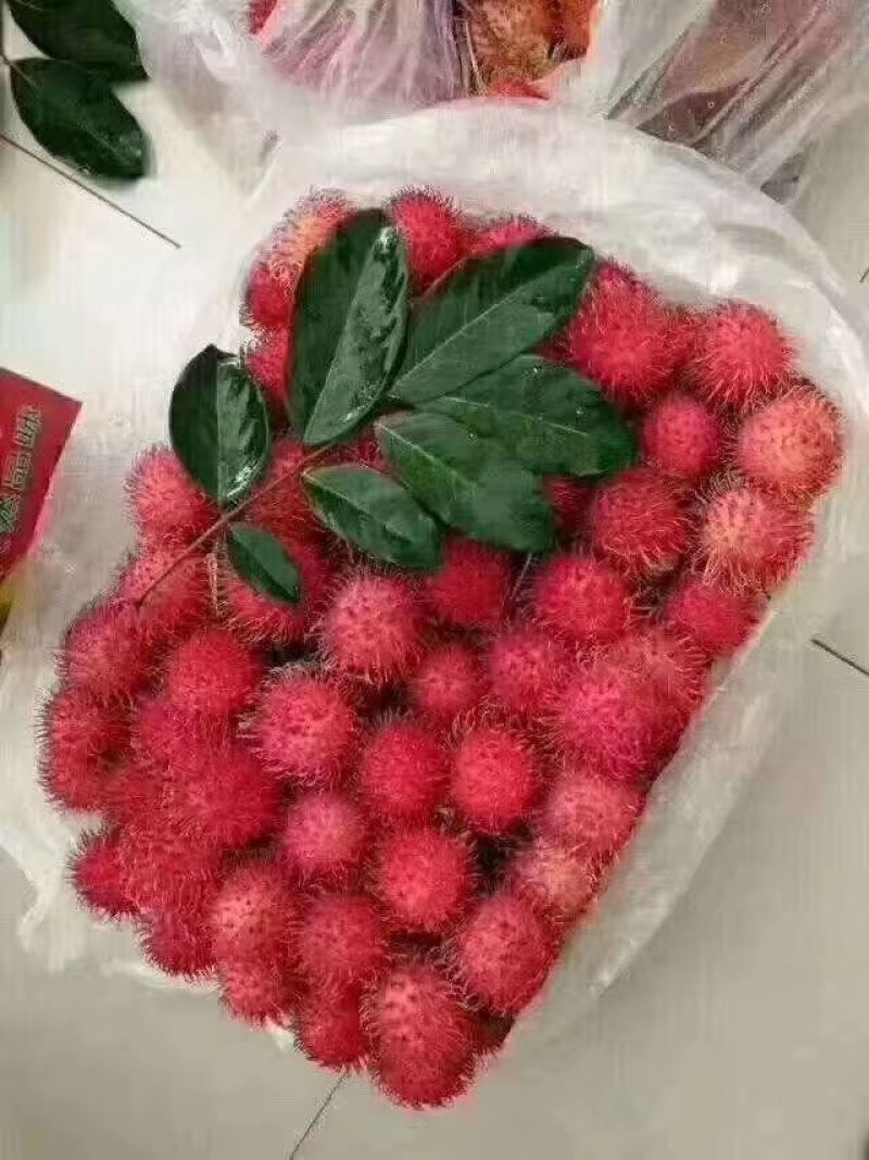红毛丹，一件代发