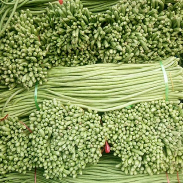 长豆角以大量上市如有需要的请于我联系