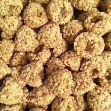 燕麦酥