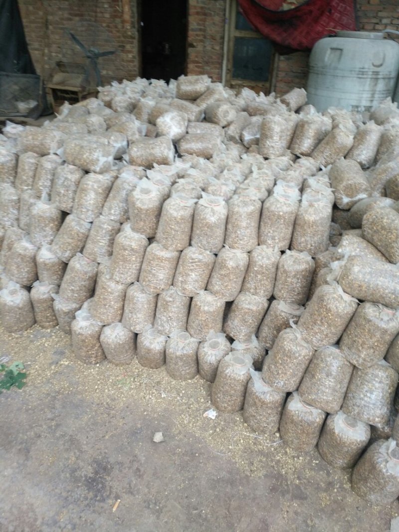 平菇菌棒，提前预定有优惠