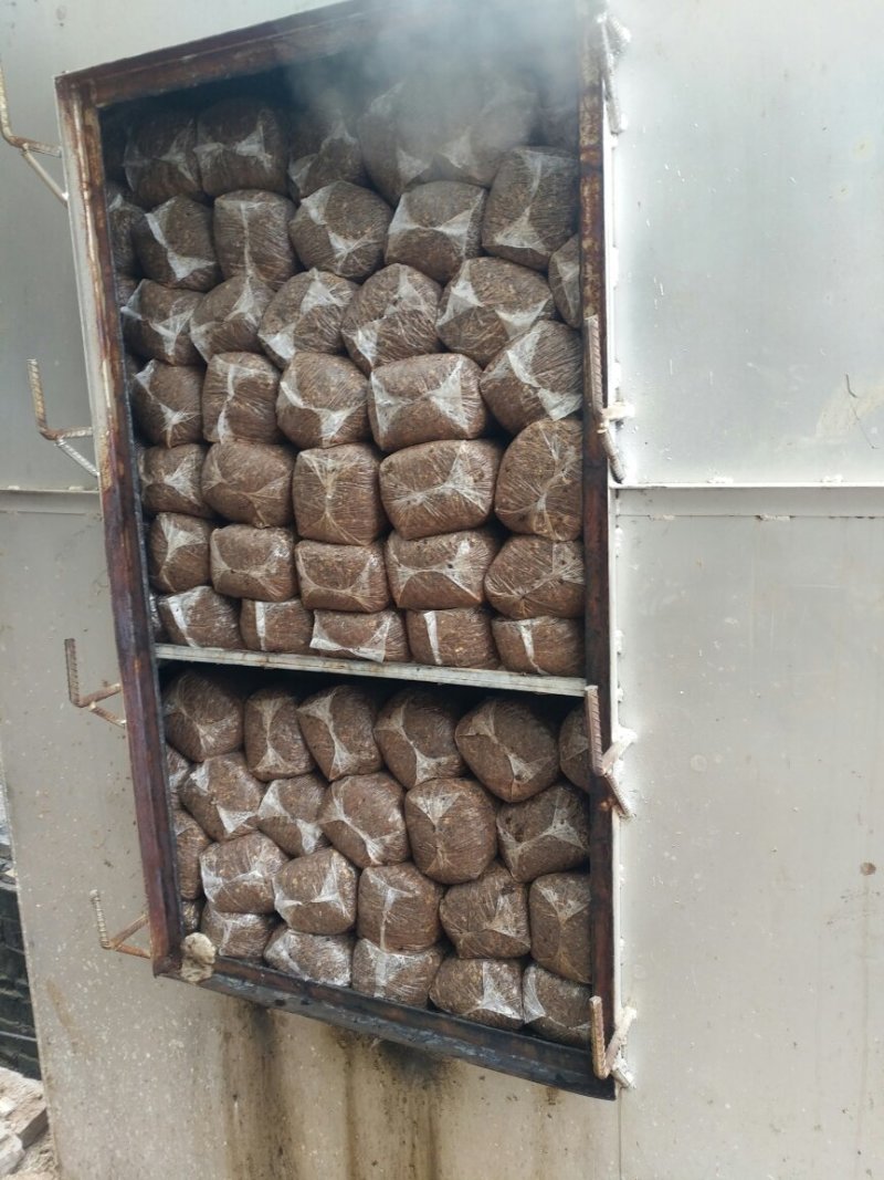 平菇菌棒，提前预定有优惠