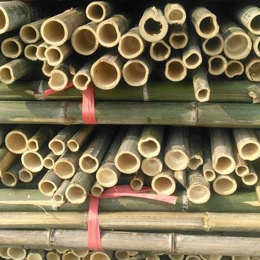 湖南竹子（产地地发各种规格的竹竿、菜架竹，架条新货现卖，