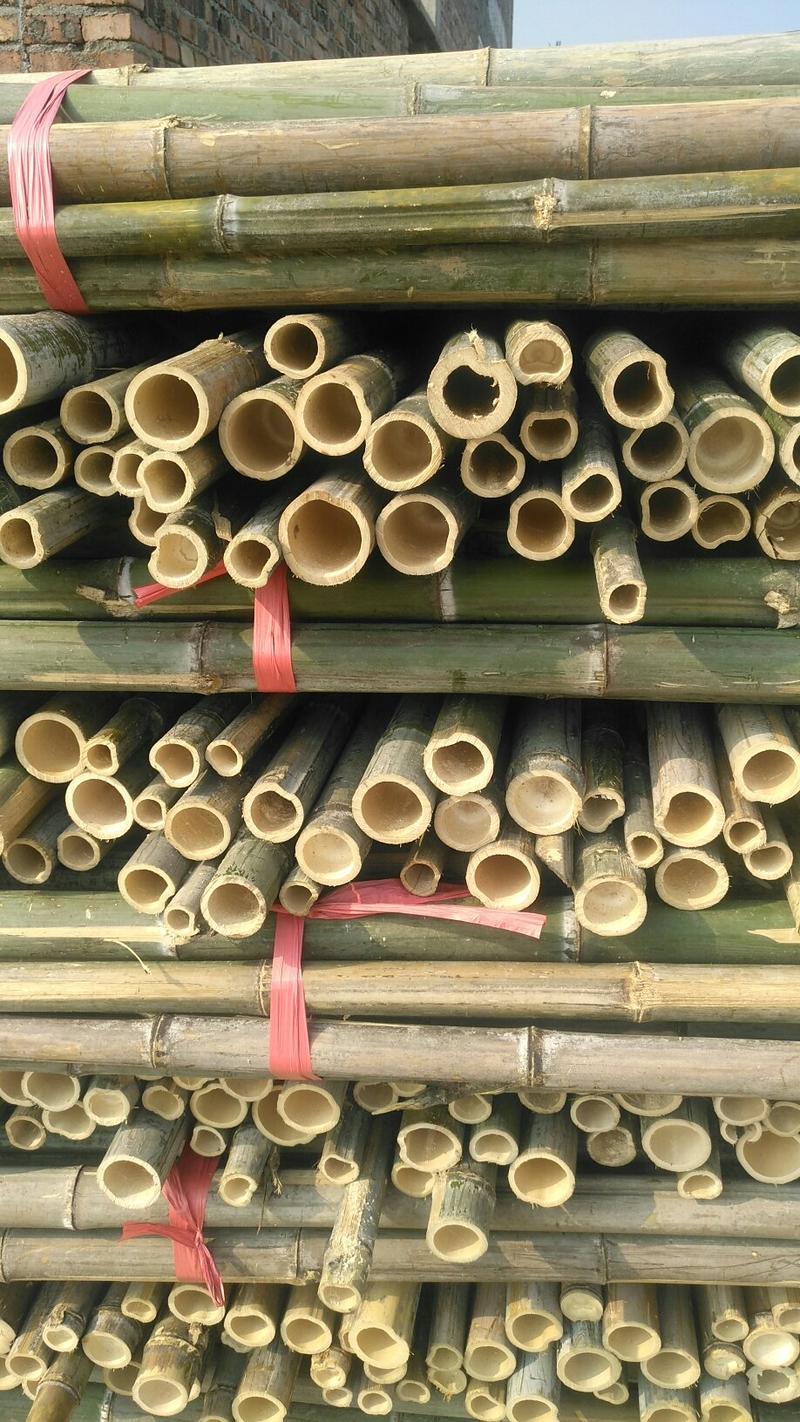 湖南竹子（产地地发各种规格的竹竿、菜架竹，架条新货现卖，