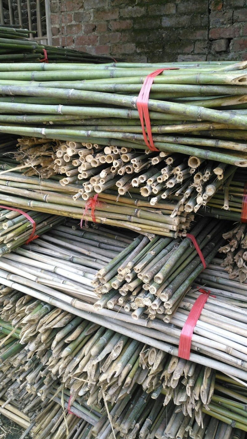 湖南竹子（产地地发各种规格的竹竿、菜架竹，架条新货现卖，