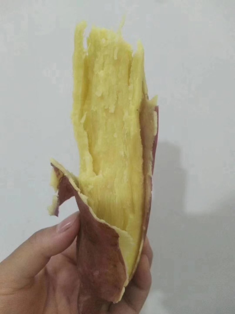 陕西临潼北田板栗署带箱十斤特供天猫拼多多各大平台