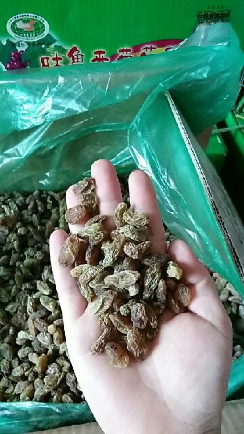 新疆吐鲁番葡萄干