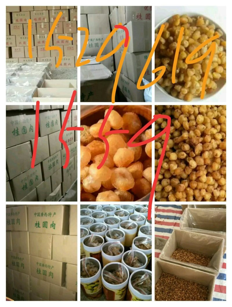 桂圆
