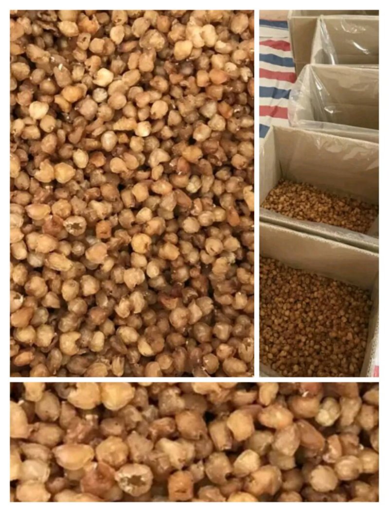 桂圆肉