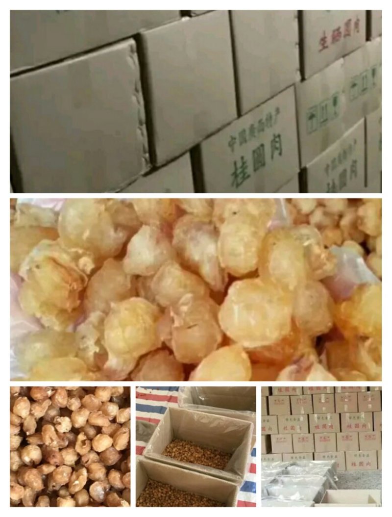 桂圆肉