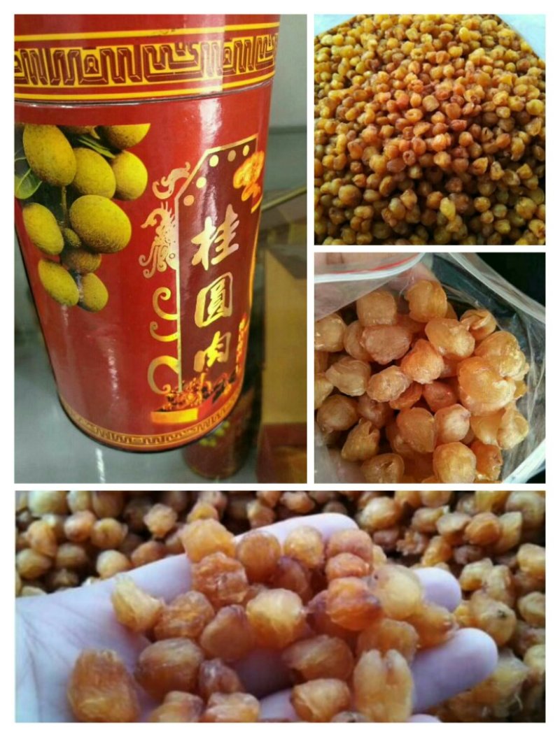 桂圆肉