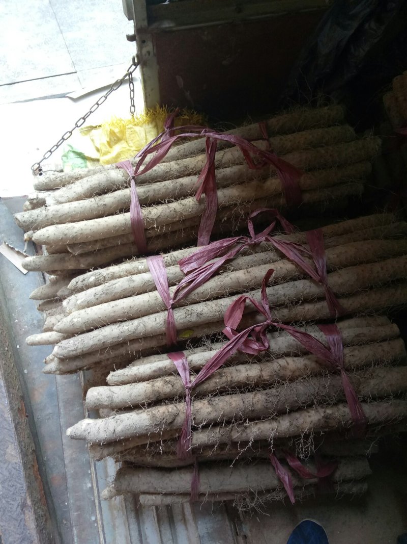 供应小白嘴白山药、淮山药，山蓈等