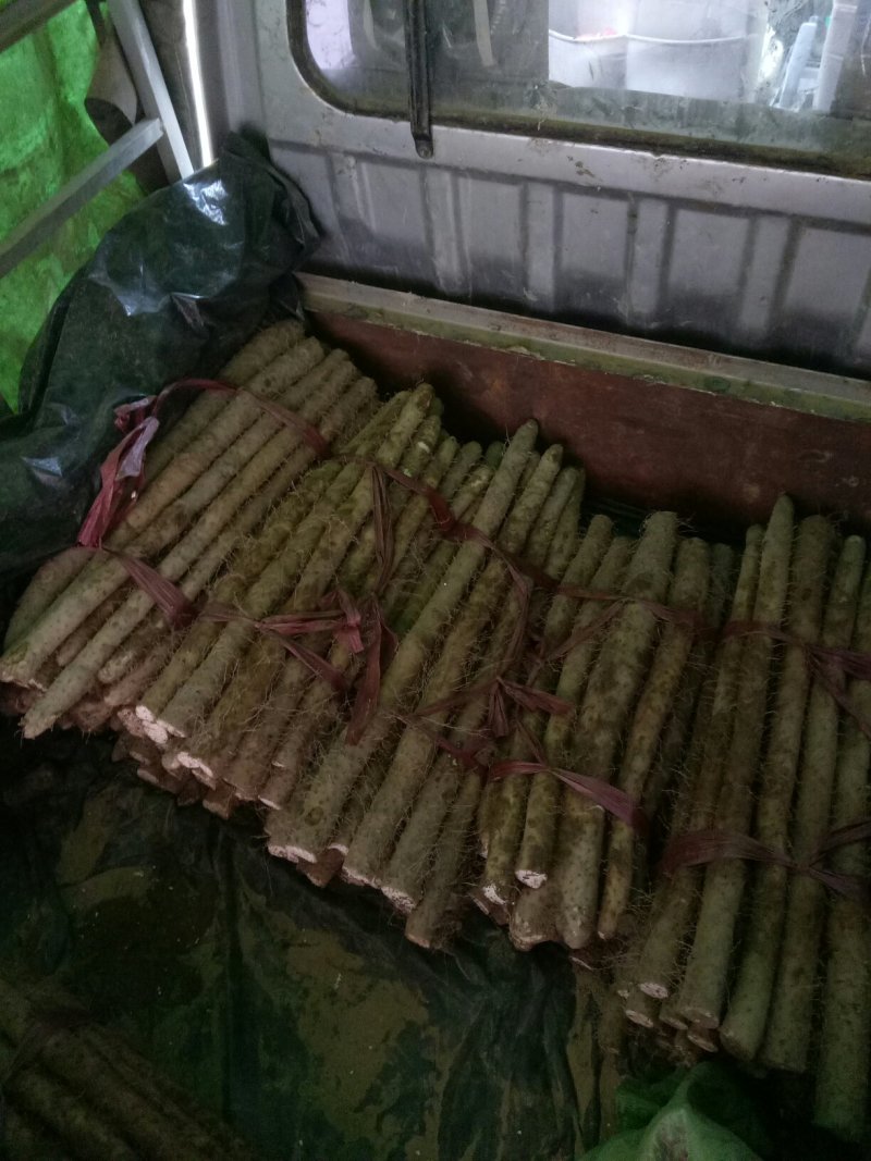 供应小白嘴白山药、淮山药，山蓈等