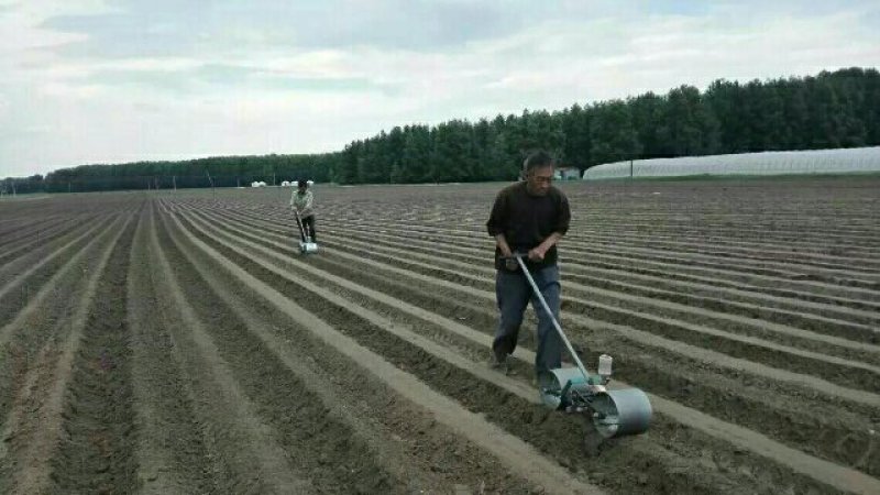 小颗粒蔬菜精播机，单粒多粒可调国家专利产品