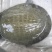 生态甲鱼2~2.5斤