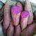 湖北紫薯紫罗兰紫薯大量上市一件代发产地直发视频看货