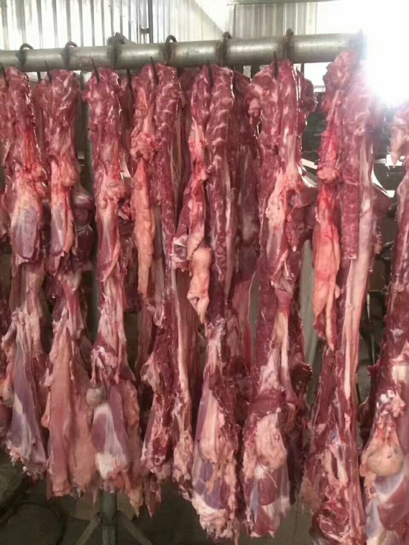 纯羊肉卷