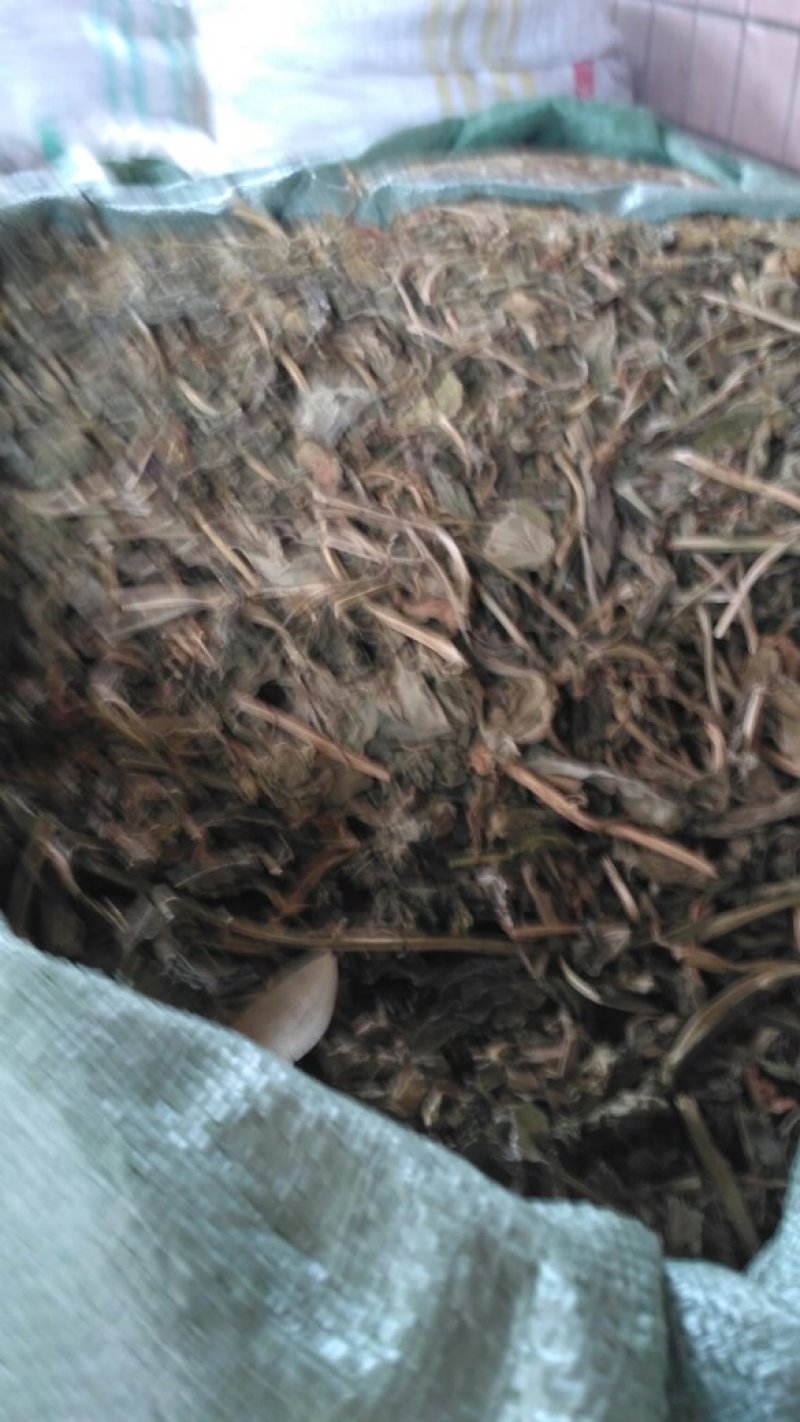 灵草