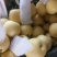 红香酥梨