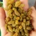新疆吐鲁番葡萄干蛋糕奶茶店甜品店加工用零食葡萄干绿宝石葡