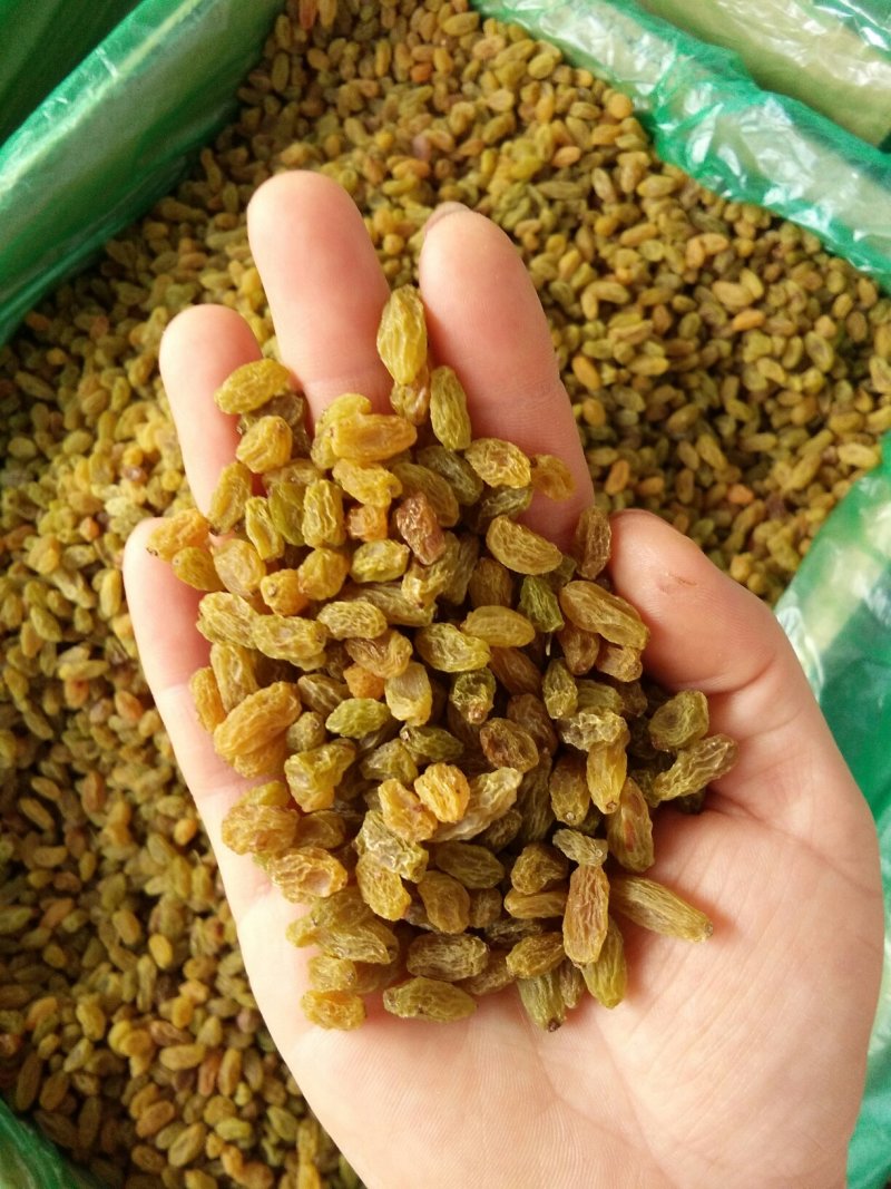 新疆吐鲁番葡萄干蛋糕奶茶店甜品店加工用零食葡萄干绿宝石葡