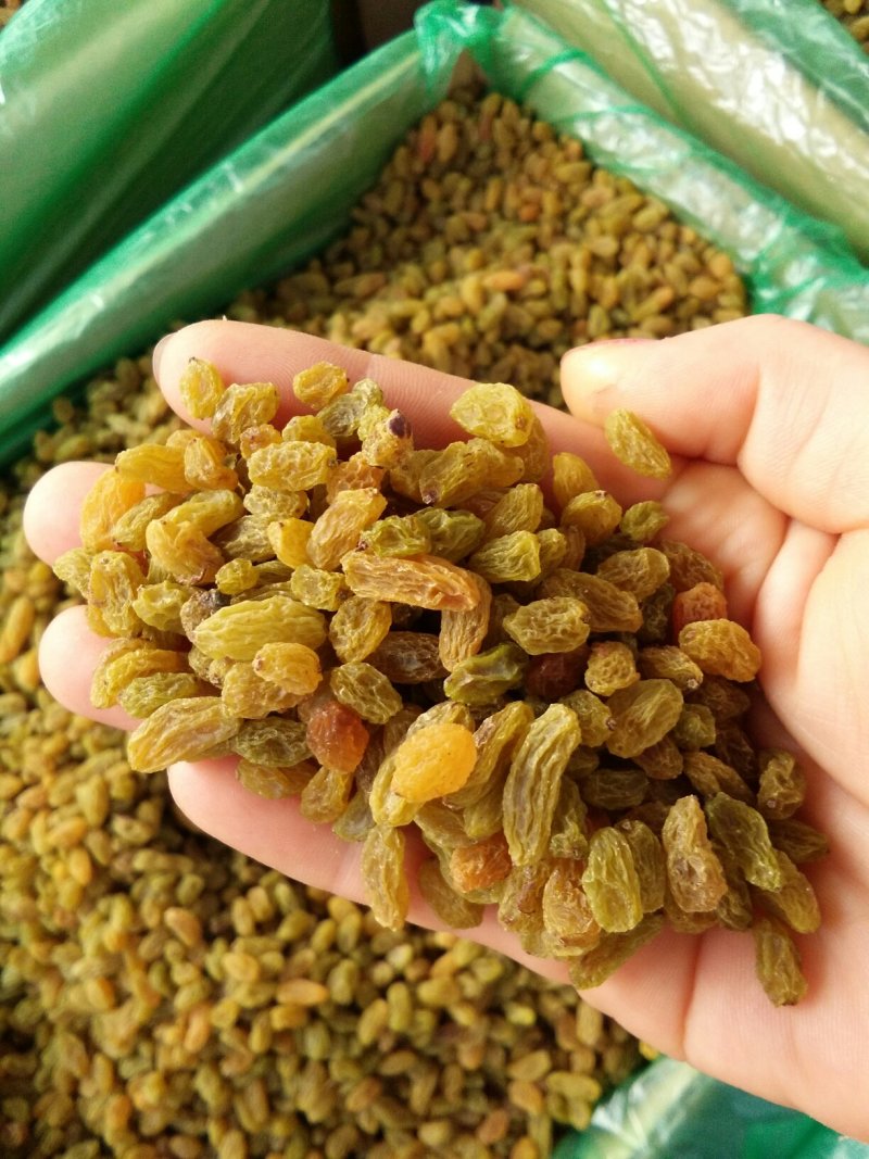 新疆吐鲁番葡萄干蛋糕奶茶店甜品店加工用零食葡萄干绿宝石葡