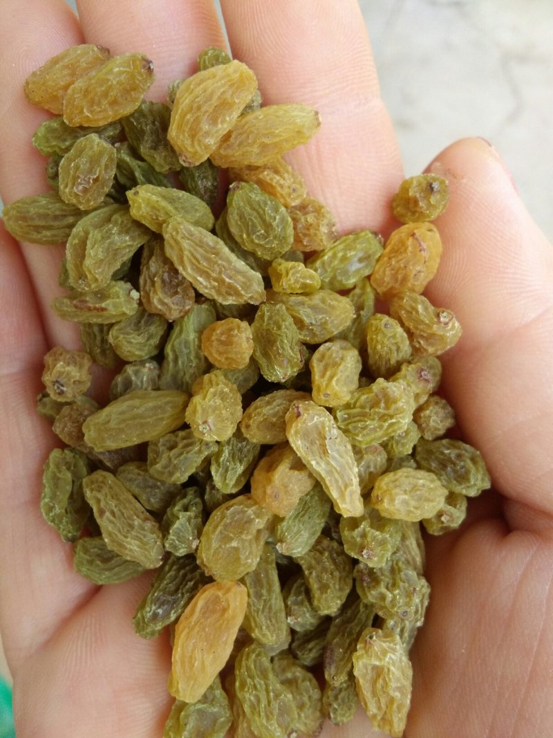 新疆吐鲁番葡萄干蛋糕奶茶店甜品店加工用零食葡萄干绿宝石葡