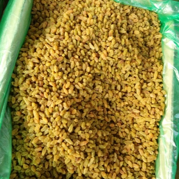 新疆吐鲁番葡萄干蛋糕奶茶店甜品店加工用零食葡萄干绿宝石葡