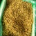 新疆吐鲁番葡萄干蛋糕奶茶店甜品店加工用零食葡萄干绿宝石葡