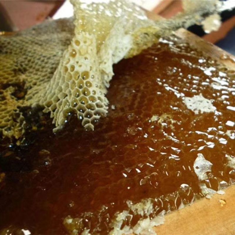 黑龙江特产伊春自产农家纯椴树土蜂蜜