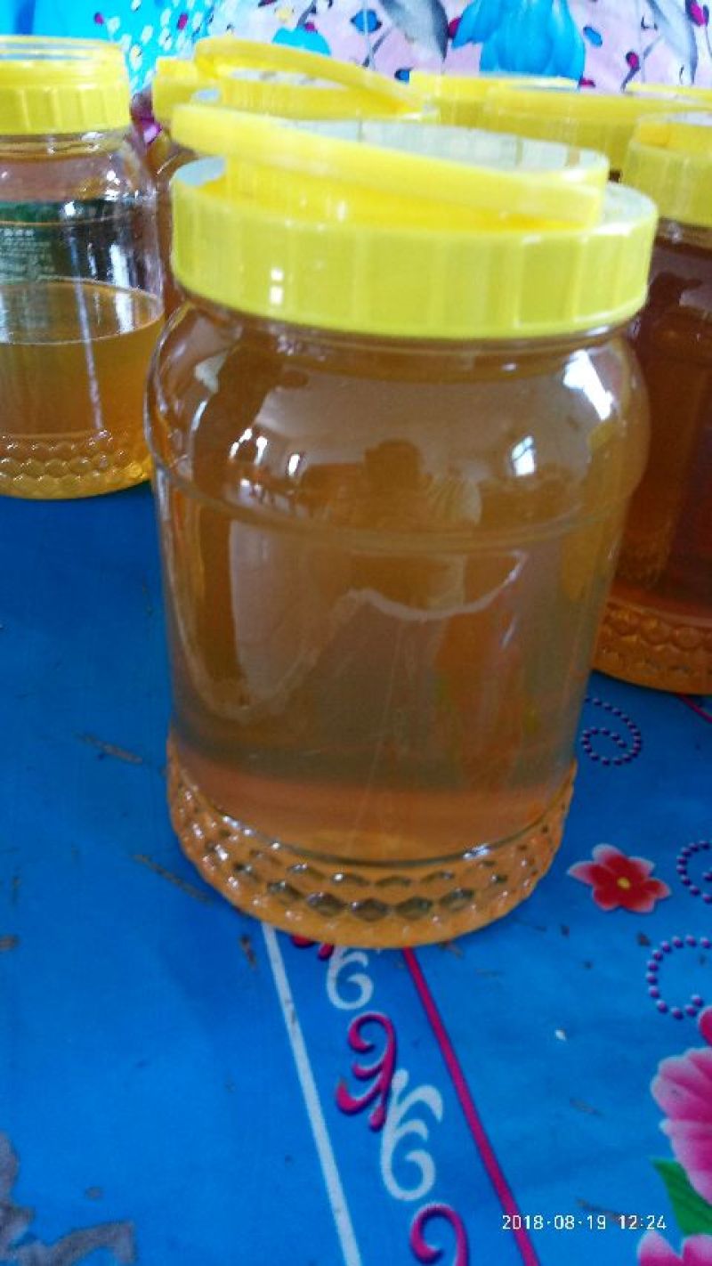 黑龙江特产伊春自产农家纯椴树土蜂蜜